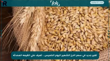 تغير جديد في سعر الأرز الشعير اليوم الخميس.. تعرف على القيمة المحدثة
